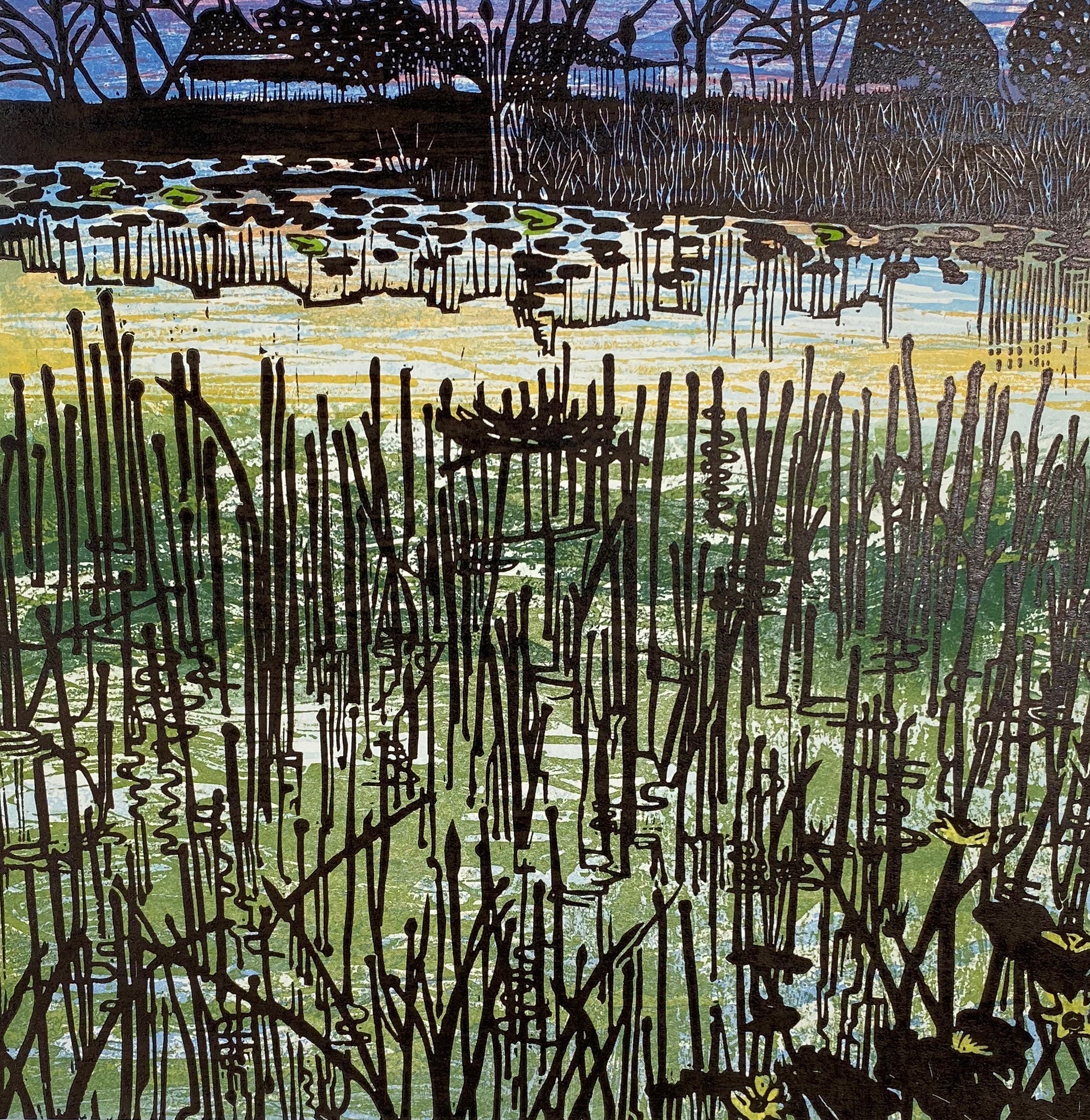Pond edge