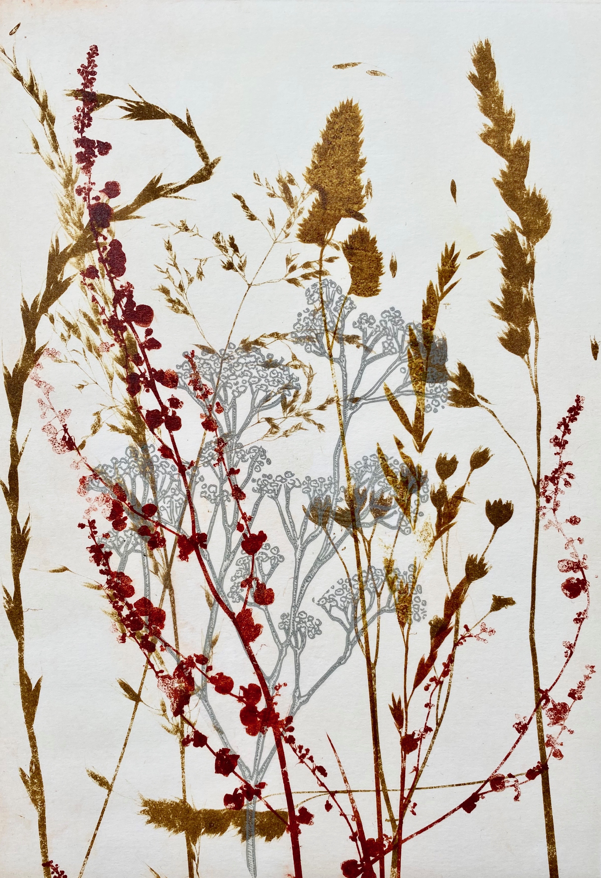 Summer verge III