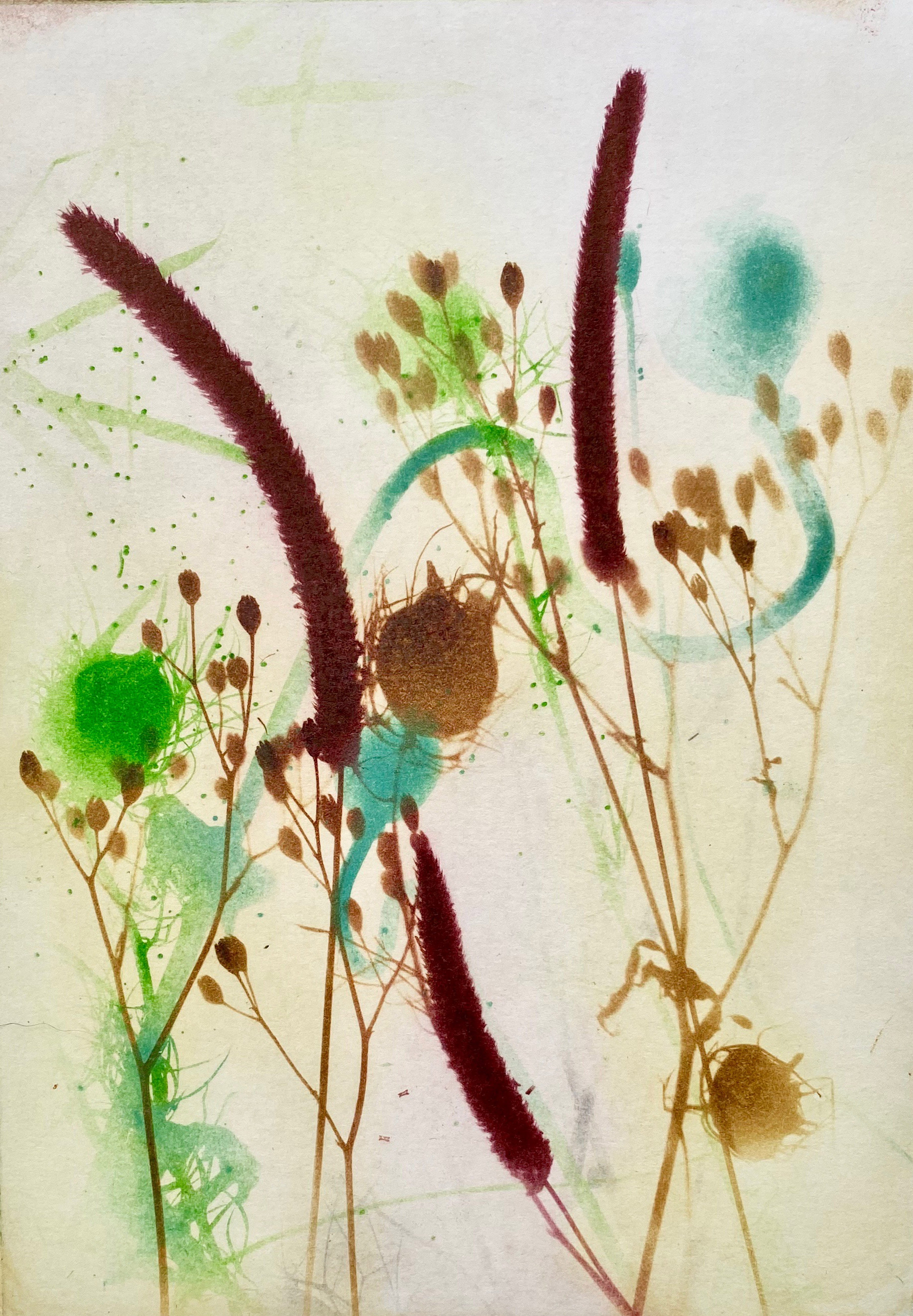 Summer verge