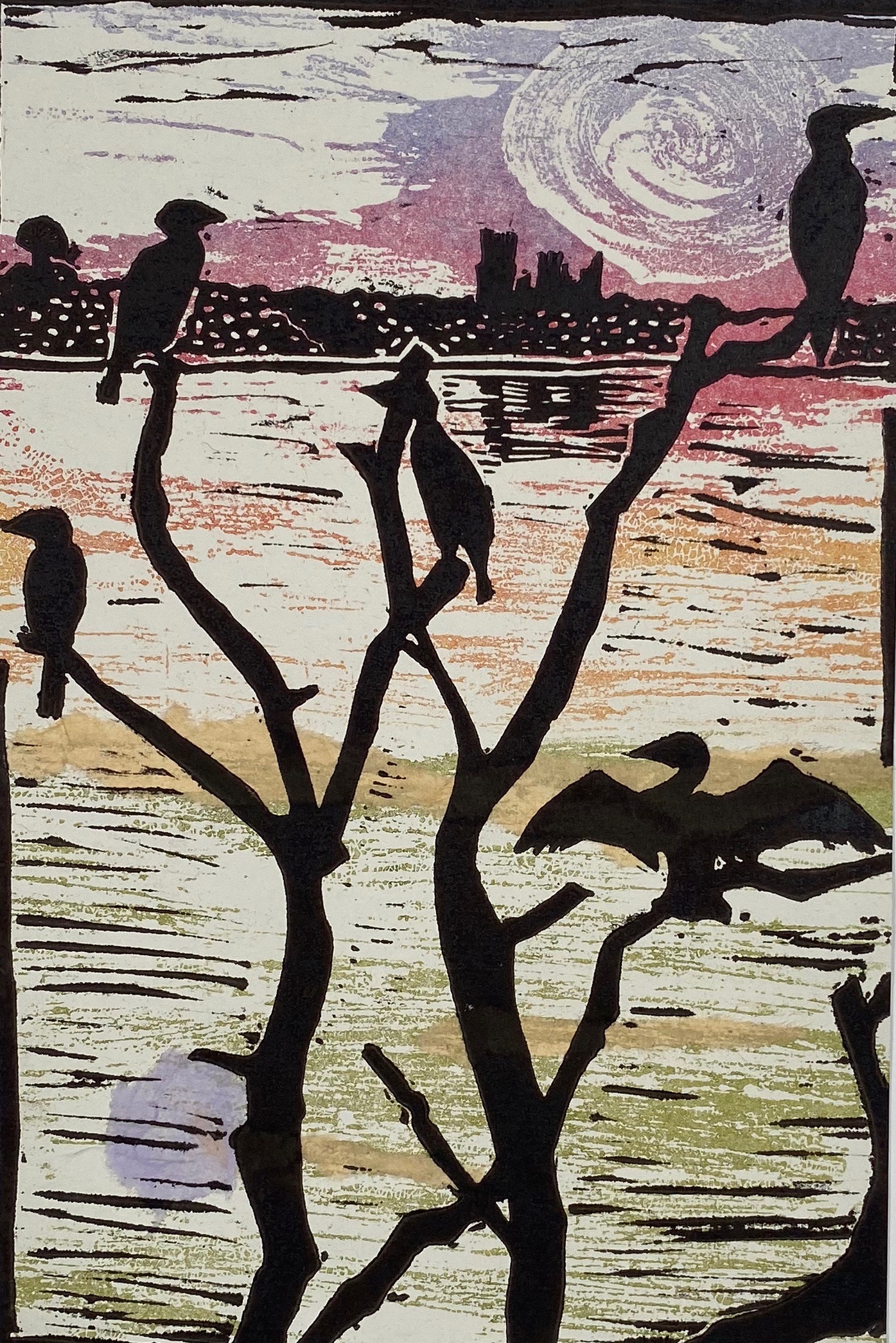 Cormorants at Roswell